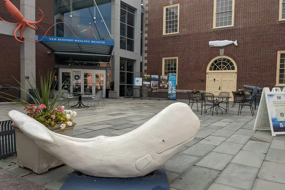 Entrance plaza of the New Bedford Whaling Museum with a white whale sculpture in the foreground